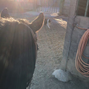 Meet your Posher, Aaron